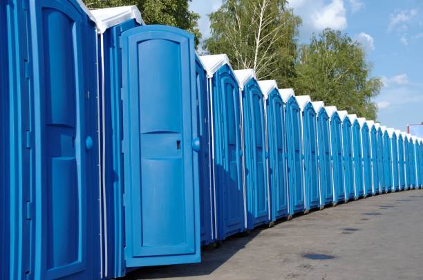 Best Local porta potty services  in Union City, MI
